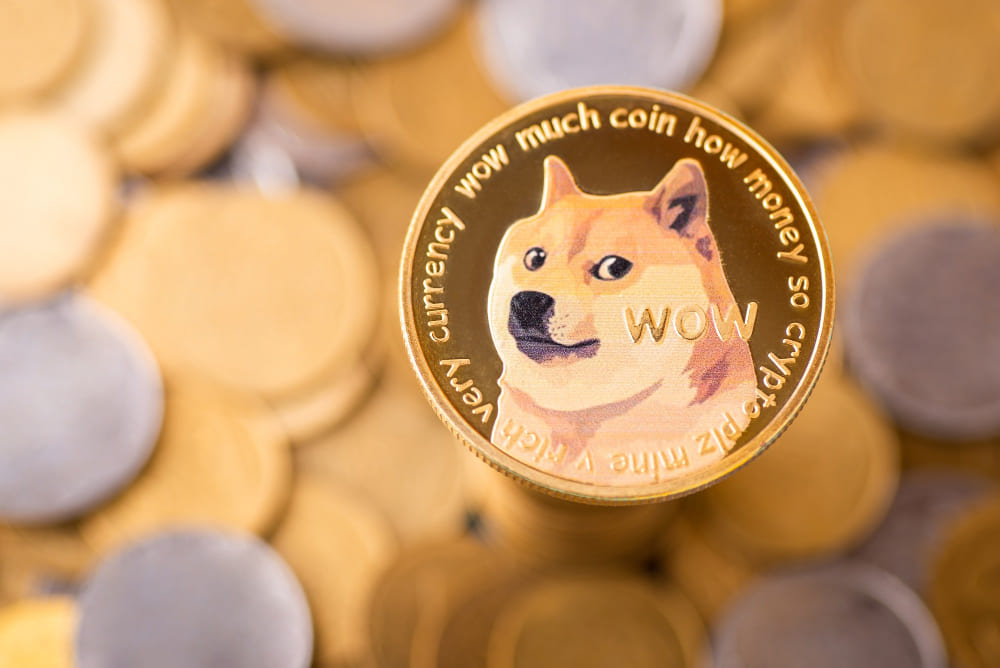 dogecoin casino